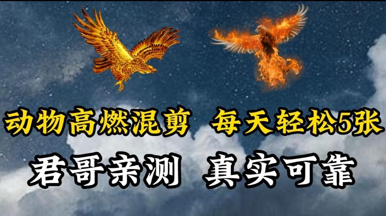 动物超燃混剪，每天轻松5张，剪辑简单大家爱看【揭秘】-小艾网创
