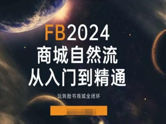 2024Faceboo商城自然流(从入门到精通)，玩转脸书商城全闭环-小艾网创