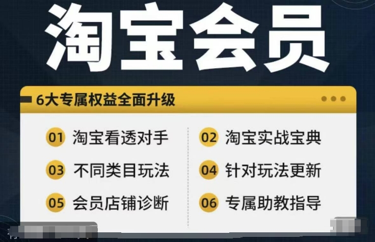淘宝会员【淘宝所有课程，全面分析对手】，初级到高手全系实战宝典-小艾网创