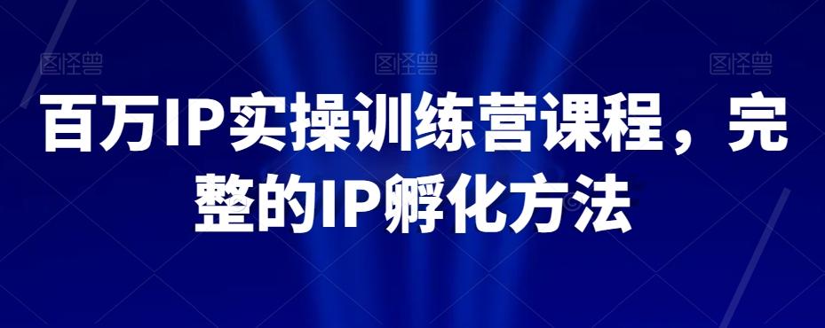 百万IP实操训练营课程，完整的IP孵化方法-小艾网创