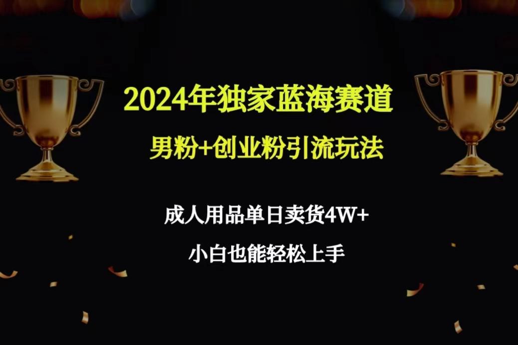 2024年独家蓝海赛道男粉+创业粉引流玩法，成人用品单日卖货4W+保姆教程-小艾网创