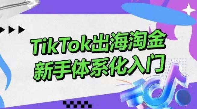 TikTok出海淘金，新手体系化入门，零基础快速入门，掌握短视频、直播带货等引流到变现的知识-小艾网创