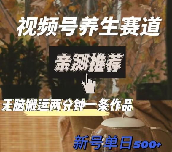 视频号养生赛道暴力掘金，无脑搬运，两分钟一条作品-新日单入500+-小艾网创