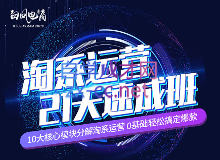 淘系运营21天速成班(更新24年6月)-小艾网创