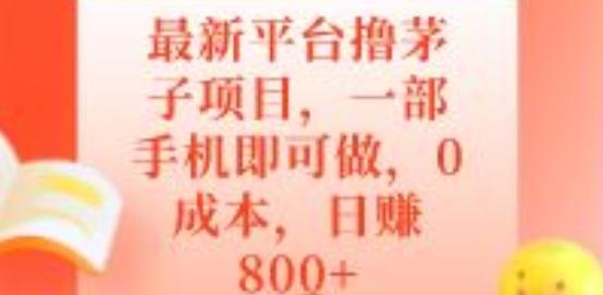 最新平台撸茅子项目，一部手机即可做，0成本，日赚800+-小艾网创