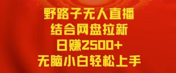 野路子无人直播结合网盘拉新，日赚2500+，小白无脑轻松上手【揭秘】-小艾网创